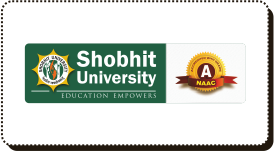 Associate Partner - Shobhit University